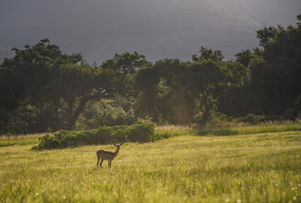 Caracal Lodge Alkmaar Eksteriør bilde