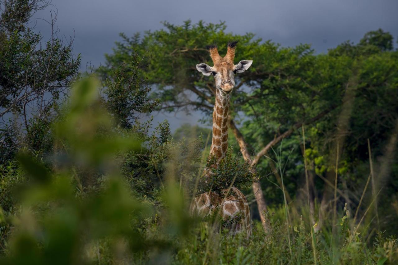 Caracal Lodge Alkmaar Eksteriør bilde