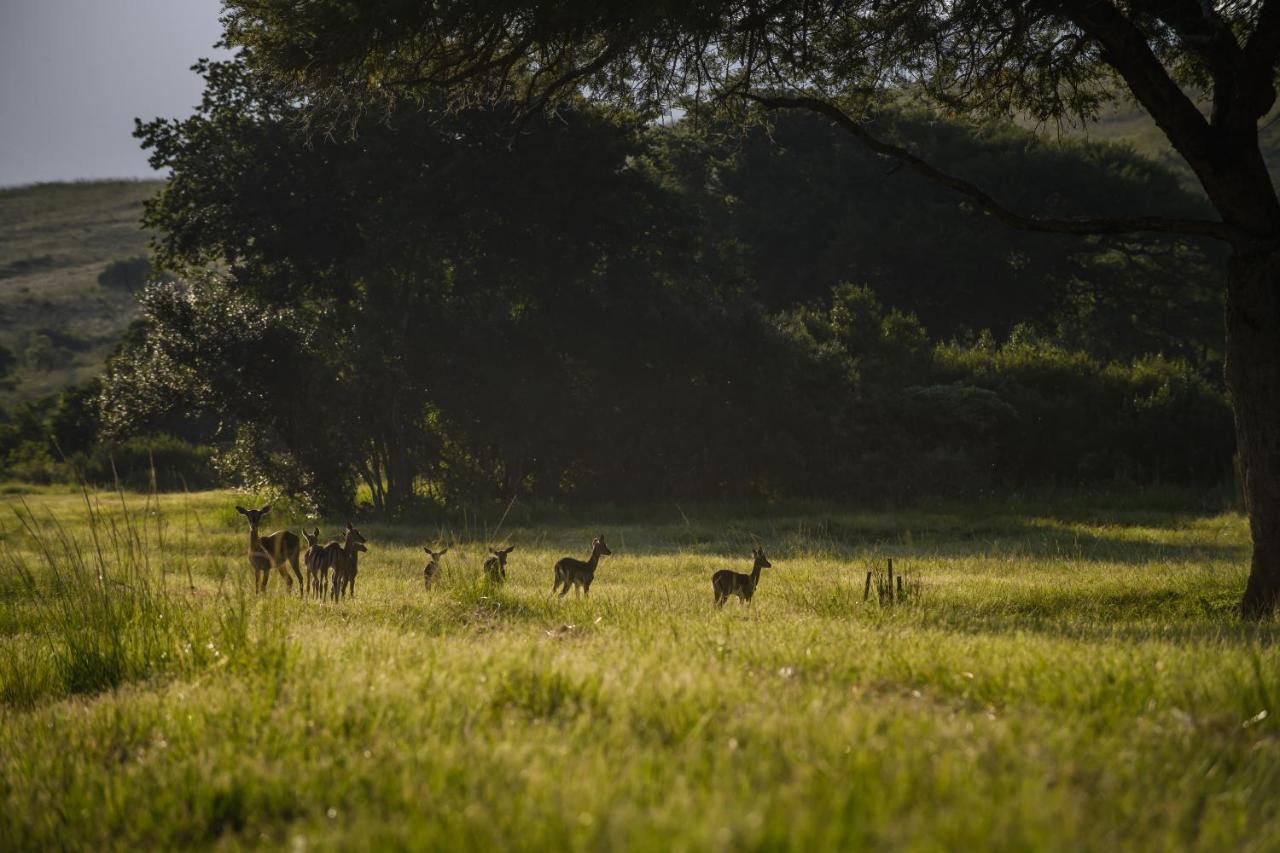 Caracal Lodge Alkmaar Eksteriør bilde