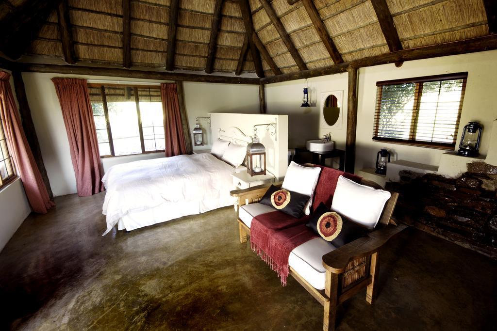 Caracal Lodge Alkmaar Rom bilde